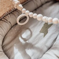 BEZISA Birds Wagenspanner Pistache Green -Babyseries Winkel 8720618125453 1 9132