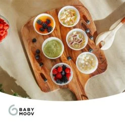 Babymoov Babybols Bewaarbakjes - 16 Stuks -Babyseries Winkel Babymoov Babybols Bewaarbakjes 16 Stuks 5 fe6a